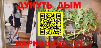 стаф Моздок